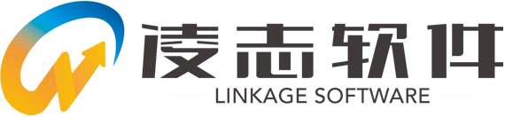 凌志软件 LINKAGE